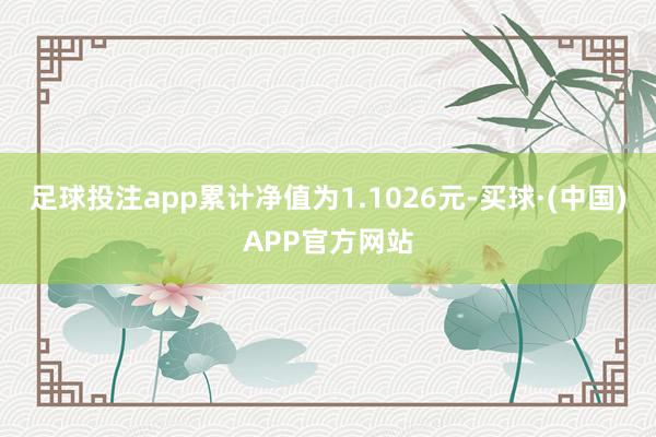 足球投注app累计净值为1.1026元-买球·(中国)APP官方网站