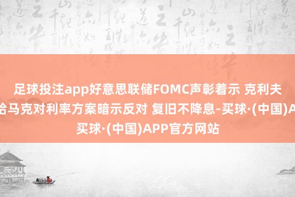 足球投注app好意思联储FOMC声彰着示 克利夫兰联储主席哈马克对利率方案暗示反对 复旧不降息-买球·(中国)APP官方网站