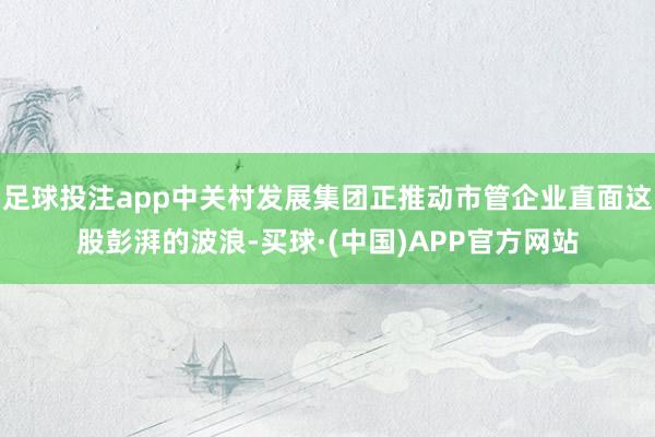 足球投注app中关村发展集团正推动市管企业直面这股彭湃的波浪-买球·(中国)APP官方网站
