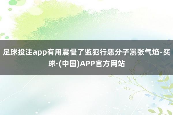 足球投注app有用震慑了监犯行恶分子嚣张气焰-买球·(中国)APP官方网站