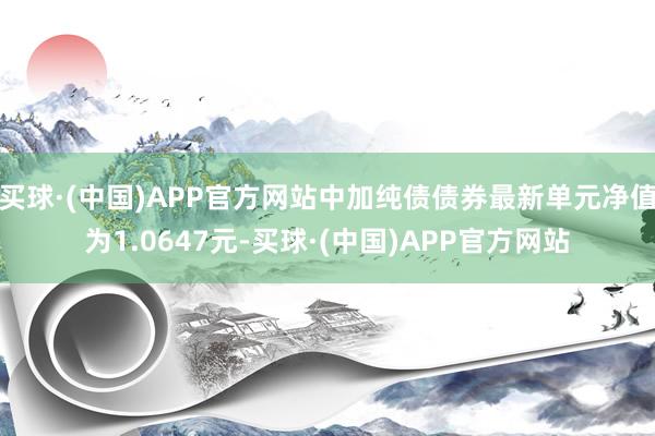 买球·(中国)APP官方网站中加纯债债券最新单元净值为1.0647元-买球·(中国)APP官方网站