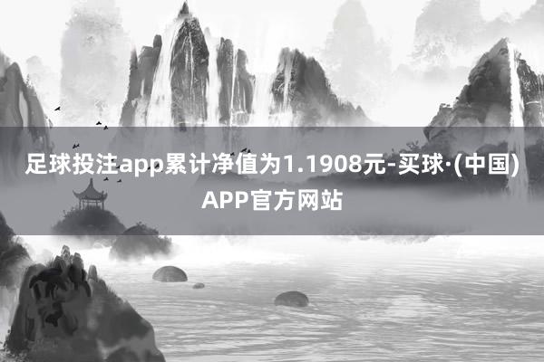 足球投注app累计净值为1.1908元-买球·(中国)APP官方网站