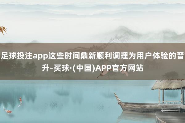 足球投注app这些时间鼎新顺利调理为用户体验的晋升-买球·(中国)APP官方网站