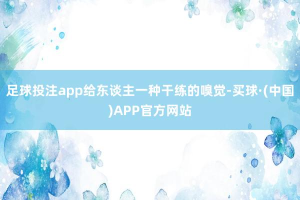 足球投注app给东谈主一种干练的嗅觉-买球·(中国)APP官方网站