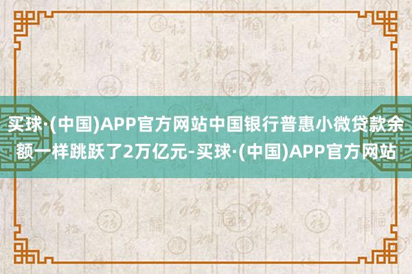 买球·(中国)APP官方网站中国银行普惠小微贷款余额一样跳跃了2万亿元-买球·(中国)APP官方网站