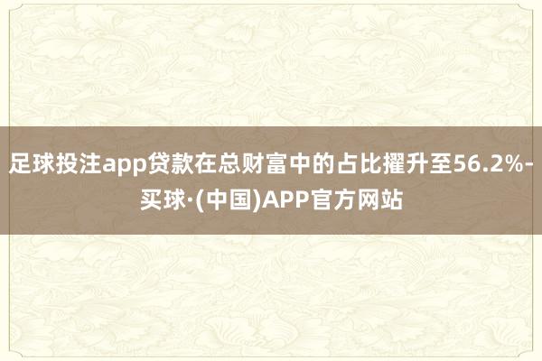 足球投注app贷款在总财富中的占比擢升至56.2%-买球·(中国)APP官方网站