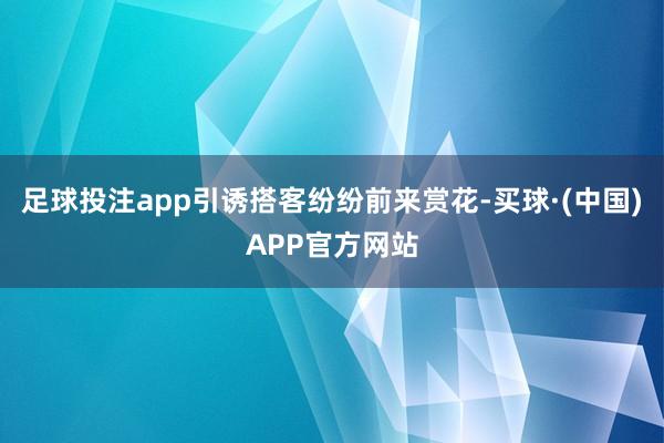 足球投注app引诱搭客纷纷前来赏花-买球·(中国)APP官方网站