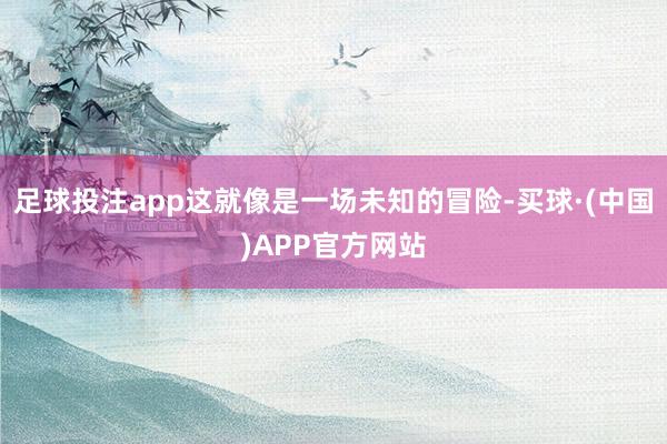 足球投注app这就像是一场未知的冒险-买球·(中国)APP官方网站