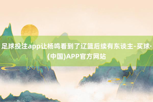 足球投注app让杨鸣看到了辽篮后续有东谈主-买球·(中国)APP官方网站