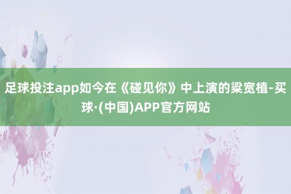 足球投注app如今在《碰见你》中上演的粱宽植-买球·(中国)APP官方网站