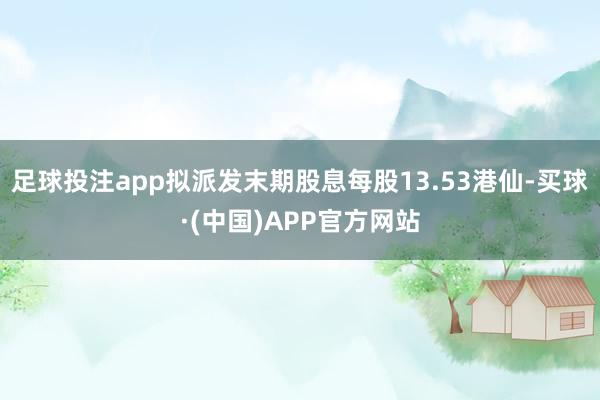 足球投注app拟派发末期股息每股13.53港仙-买球·(中国)APP官方网站