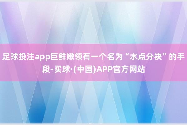 足球投注app巨鲜嫩领有一个名为“水点分袂”的手段-买球·(中国)APP官方网站