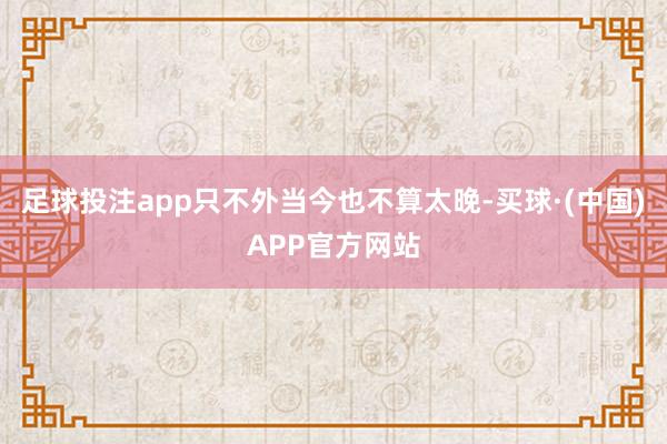 足球投注app只不外当今也不算太晚-买球·(中国)APP官方网站