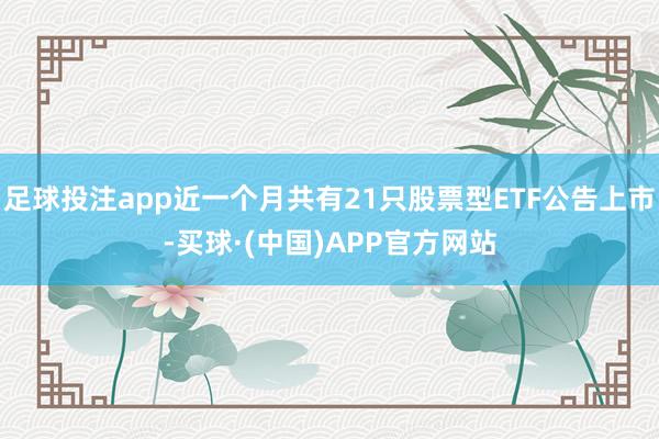 足球投注app近一个月共有21只股票型ETF公告上市-买球·(中国)APP官方网站