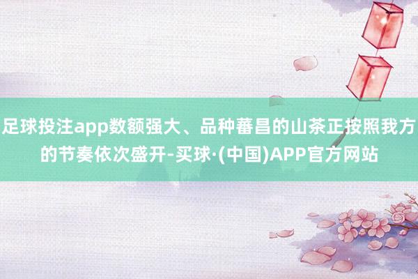 足球投注app数额强大、品种蕃昌的山茶正按照我方的节奏依次盛开-买球·(中国)APP官方网站