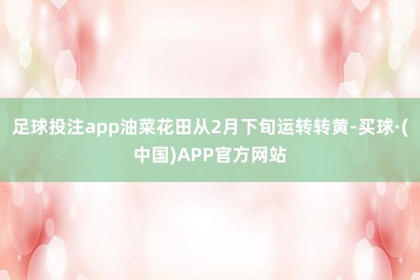 足球投注app油菜花田从2月下旬运转转黄-买球·(中国)APP官方网站
