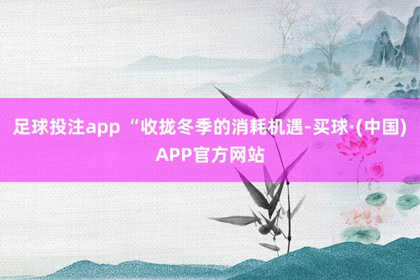 足球投注app “收拢冬季的消耗机遇-买球·(中国)APP官方网站