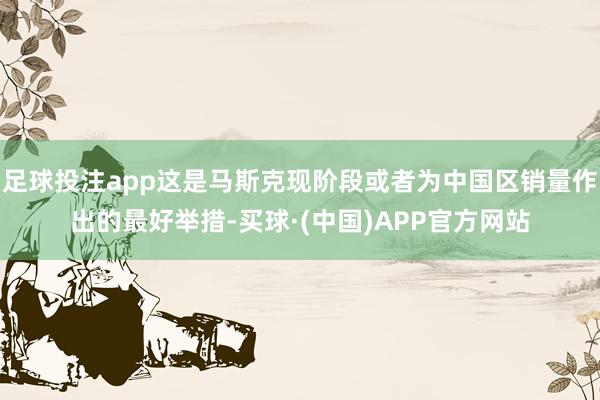 足球投注app这是马斯克现阶段或者为中国区销量作出的最好举措-买球·(中国)APP官方网站