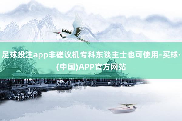 足球投注app非磋议机专科东谈主士也可使用-买球·(中国)APP官方网站