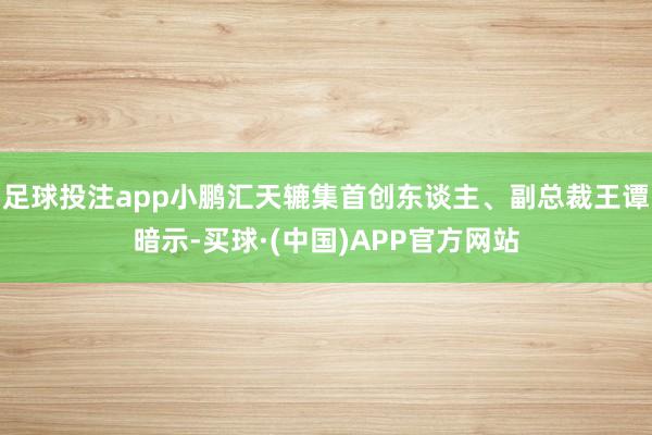 足球投注app小鹏汇天辘集首创东谈主、副总裁王谭暗示-买球·(中国)APP官方网站