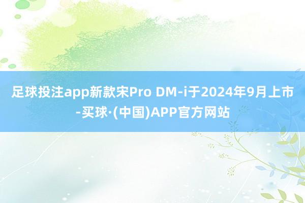 足球投注app新款宋Pro DM-i于2024年9月上市-买球·(中国)APP官方网站