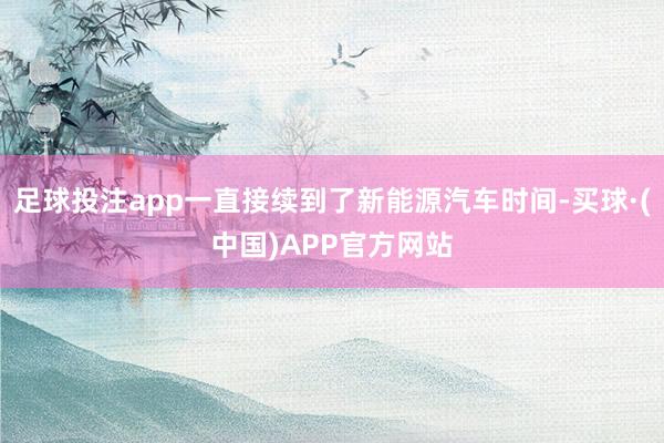 足球投注app一直接续到了新能源汽车时间-买球·(中国)APP官方网站