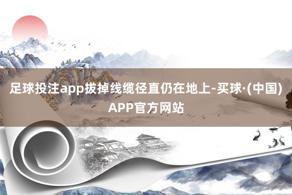 足球投注app拔掉线缆径直仍在地上-买球·(中国)APP官方网站