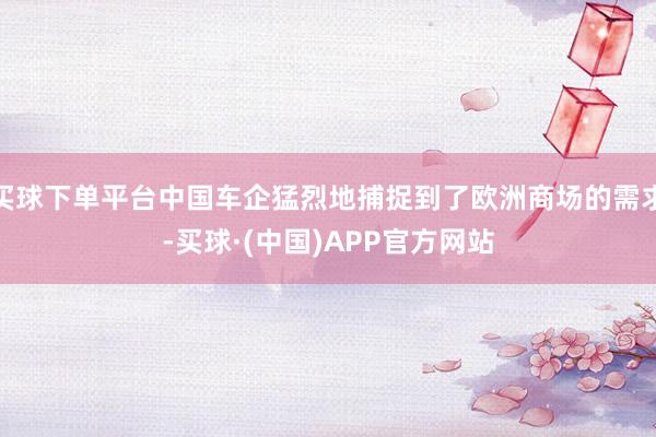 买球下单平台中国车企猛烈地捕捉到了欧洲商场的需求-买球·(中国)APP官方网站