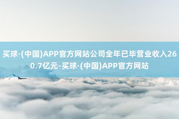 买球·(中国)APP官方网站公司全年已毕营业收入260.7亿元-买球·(中国)APP官方网站