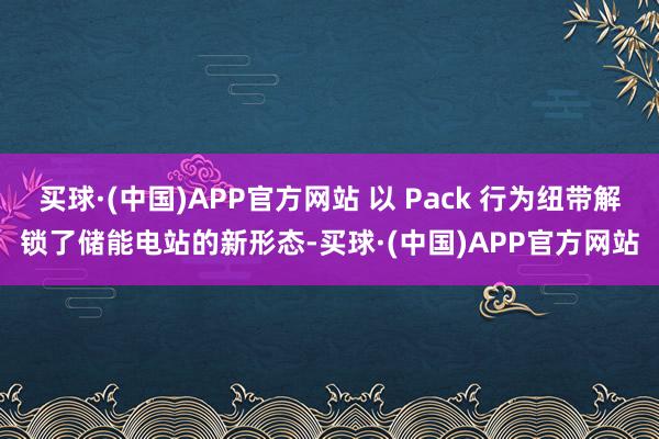 买球·(中国)APP官方网站 以 Pack 行为纽带解锁了储能电站的新形态-买球·(中国)APP官方网站