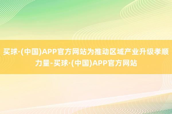 买球·(中国)APP官方网站为推动区域产业升级孝顺力量-买球·(中国)APP官方网站