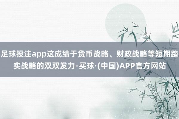 足球投注app这成绩于货币战略、财政战略等短期踏实战略的双双发力-买球·(中国)APP官方网站