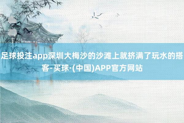足球投注app深圳大梅沙的沙滩上就挤满了玩水的搭客-买球·(中国)APP官方网站
