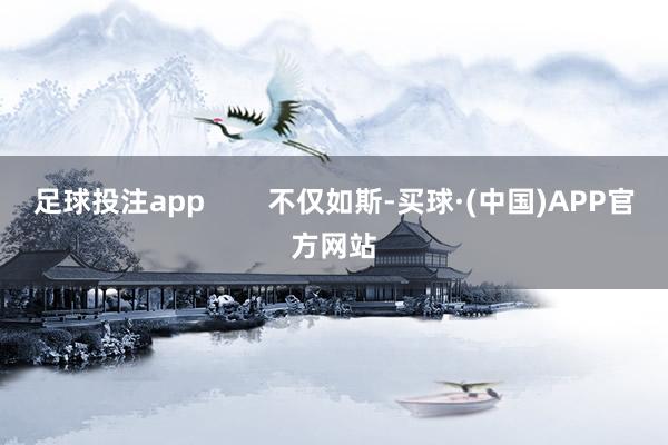 足球投注app        不仅如斯-买球·(中国)APP官方网站