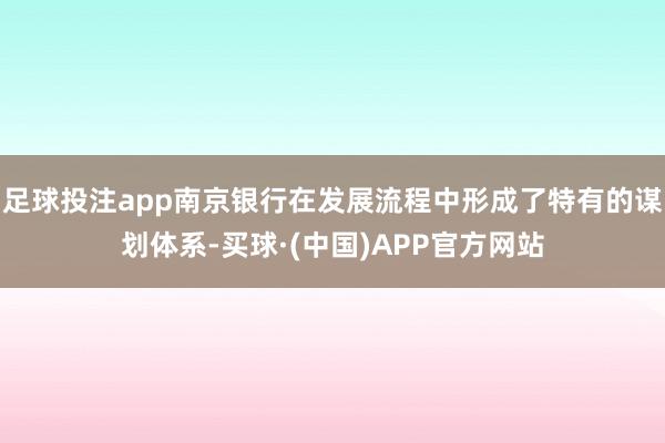 足球投注app南京银行在发展流程中形成了特有的谋划体系-买球·(中国)APP官方网站