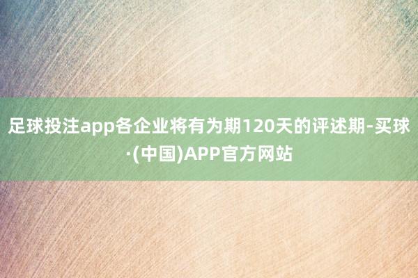 足球投注app各企业将有为期120天的评述期-买球·(中国)APP官方网站