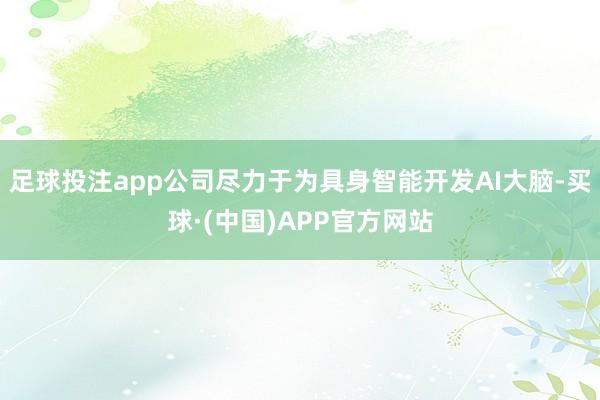 足球投注app公司尽力于为具身智能开发AI大脑-买球·(中国)APP官方网站
