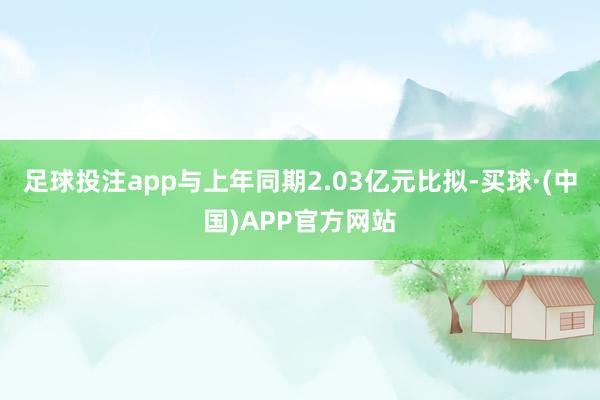 足球投注app与上年同期2.03亿元比拟-买球·(中国)APP官方网站