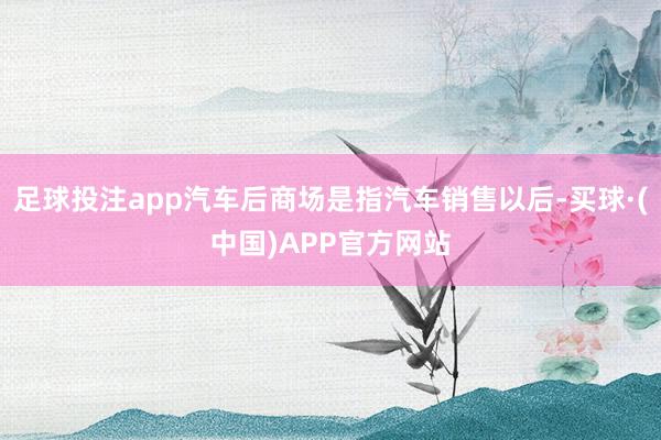 足球投注app汽车后商场是指汽车销售以后-买球·(中国)APP官方网站