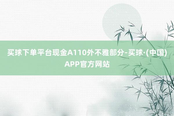 买球下单平台现金A110外不雅部分-买球·(中国)APP官方网站