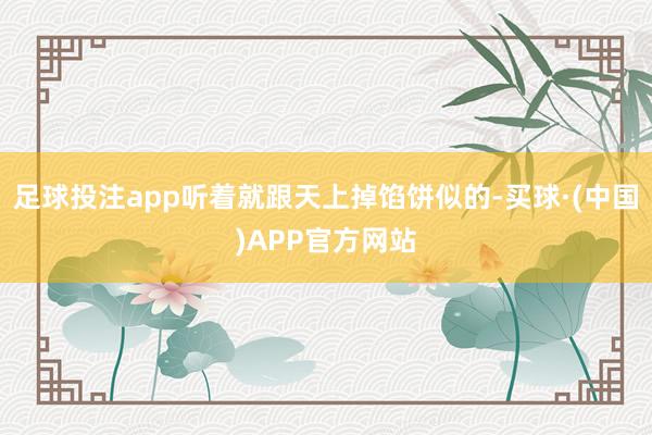 足球投注app听着就跟天上掉馅饼似的-买球·(中国)APP官方网站