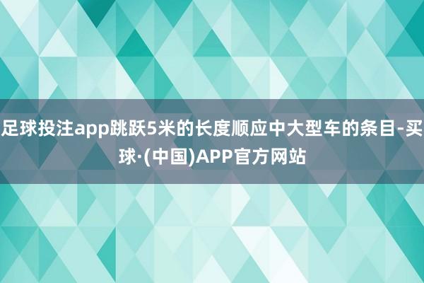 足球投注app跳跃5米的长度顺应中大型车的条目-买球·(中国)APP官方网站