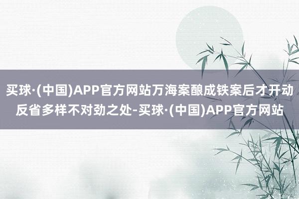 买球·(中国)APP官方网站万海案酿成铁案后才开动反省多样不对劲之处-买球·(中国)APP官方网站