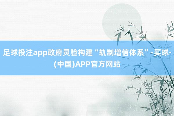 足球投注app政府灵验构建“轨制增信体系”-买球·(中国)APP官方网站