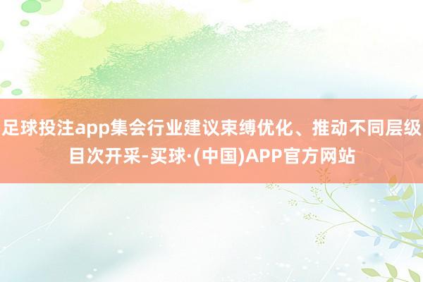 足球投注app集会行业建议束缚优化、推动不同层级目次开采-买球·(中国)APP官方网站