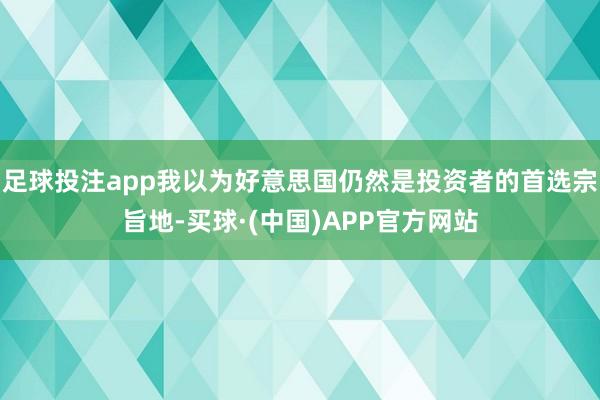 足球投注app我以为好意思国仍然是投资者的首选宗旨地-买球·(中国)APP官方网站