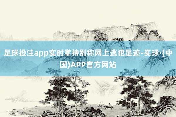 足球投注app实时掌持别称网上逃犯足迹-买球·(中国)APP官方网站
